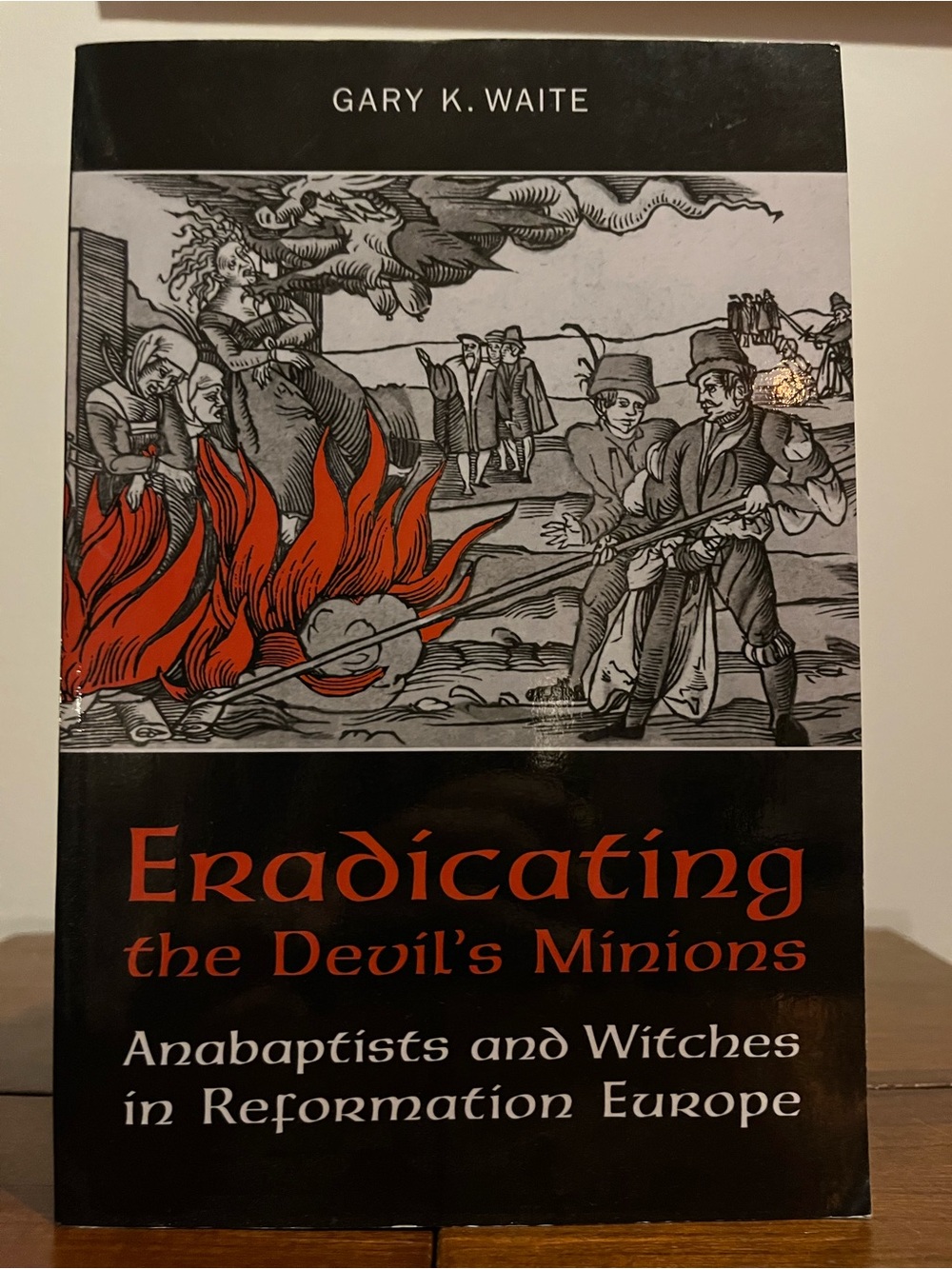 Eradicating the Devil's Minions - Anabaptists and Witches in Reformation Europe